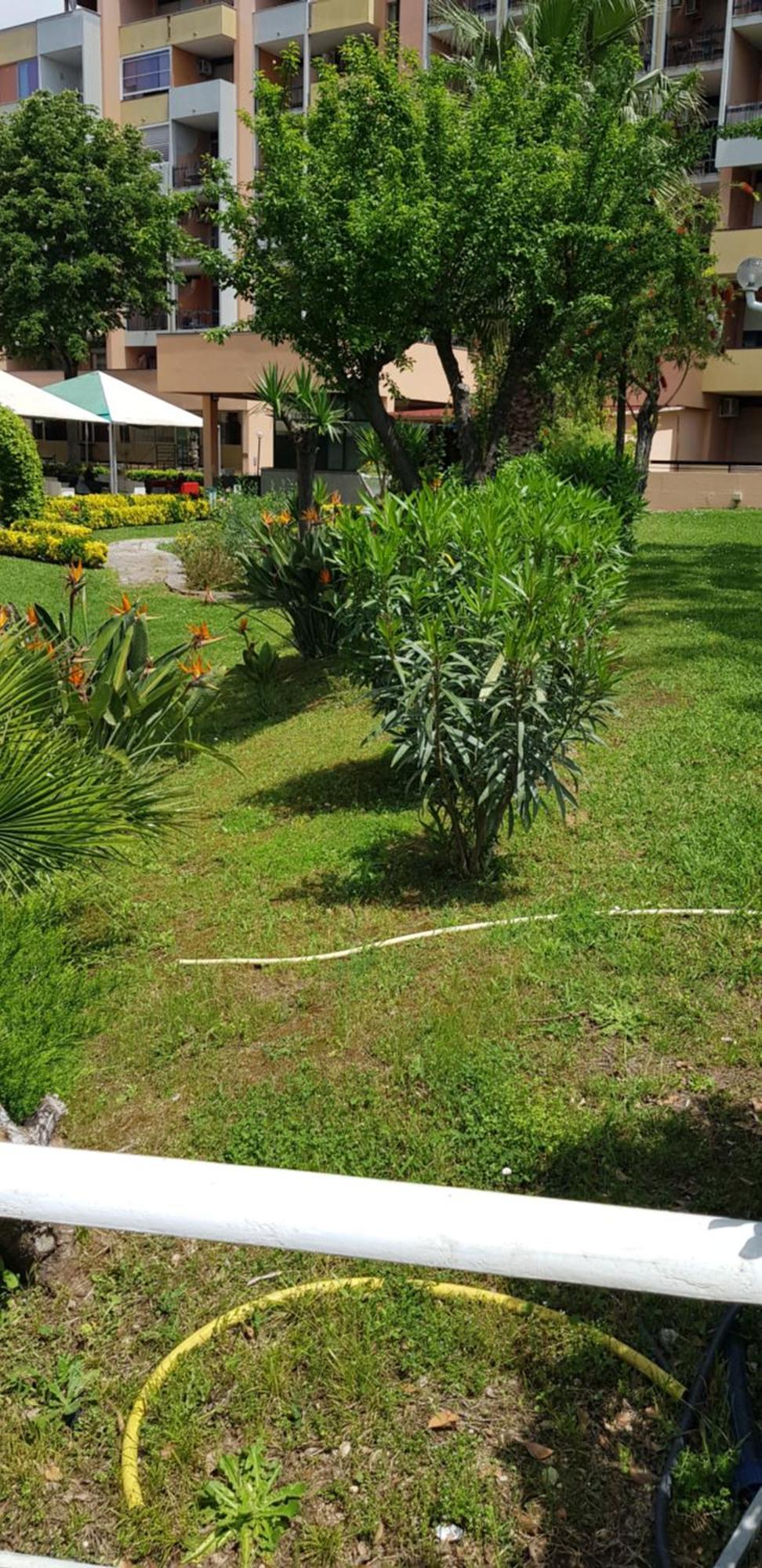 Green Oasis Рим Экстерьер фото